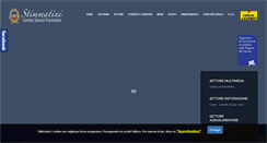 Desktop Screenshot of centrostimmatini.it